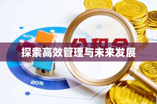 武城探索高效管理与未来发展