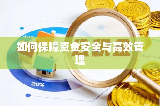武城如何保障资金安全与高效管理