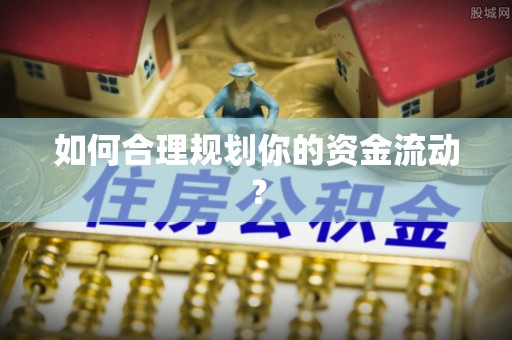 武城如何合理规划你的资金流动？