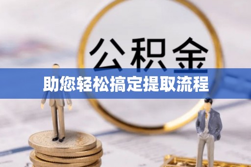 武城助您轻松搞定提取流程