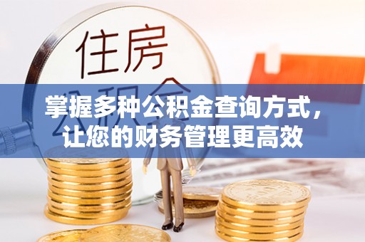 武城掌握多种公积金查询方式，让您的财务管理更高效