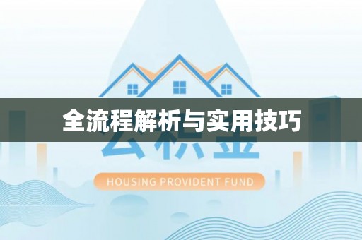 武城全流程解析与实用技巧