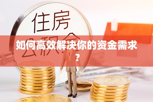 武城如何高效解决你的资金需求？