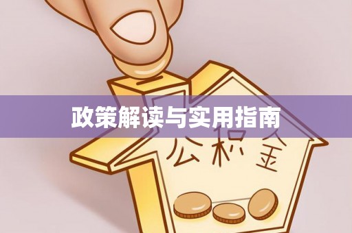 武城政策解读与实用指南