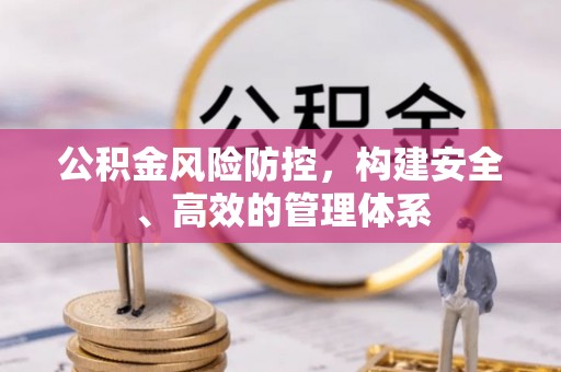 武城公积金风险防控，构建安全、高效的管理体系