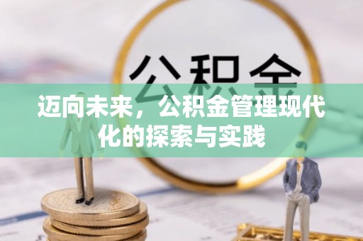 武城迈向未来，公积金管理现代化的探索与实践