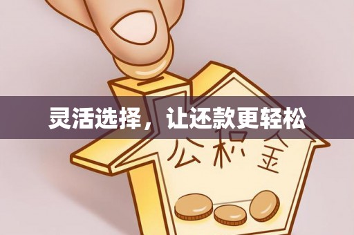 武城灵活选择，让还款更轻松