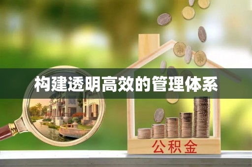 武城构建透明高效的管理体系