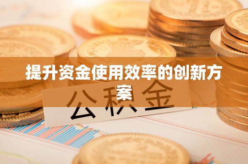 武城提升资金使用效率的创新方案