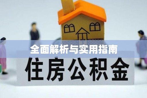 武城全面解析与实用指南