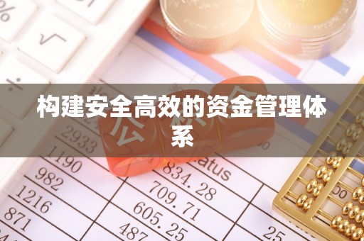 武城构建安全高效的资金管理体系