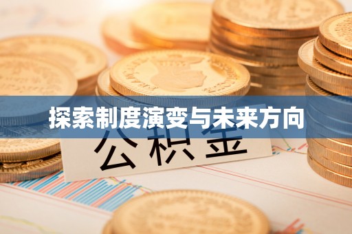 武城探索制度演变与未来方向