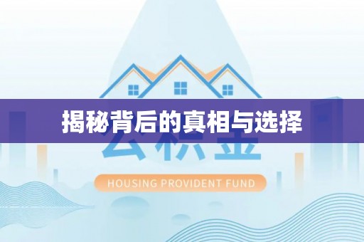 武城揭秘背后的真相与选择