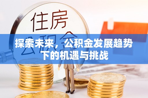 武城探索未来，公积金发展趋势下的机遇与挑战