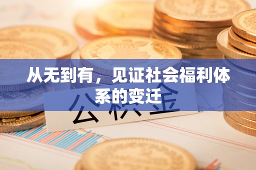 武城从无到有，见证社会福利体系的变迁