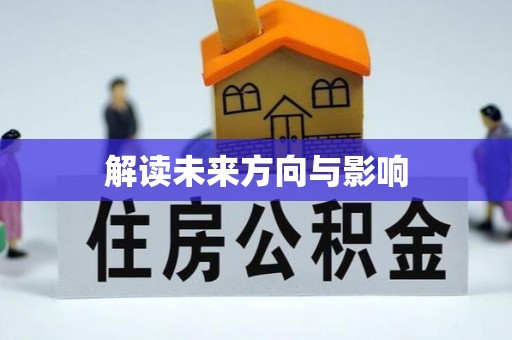 武城解读未来方向与影响