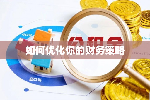 武城如何优化你的财务策略