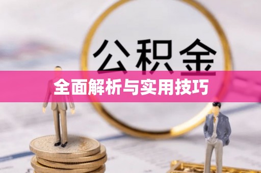 武城全面解析与实用技巧
