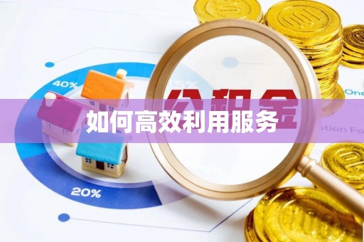 武城如何高效利用服务