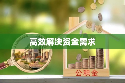 武城高效解决资金需求