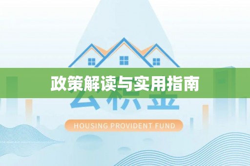 武城政策解读与实用指南