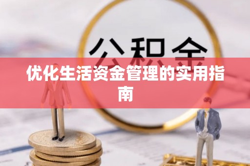 武城优化生活资金管理的实用指南