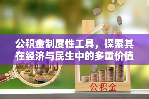 武城公积金制度性工具，探索其在经济与民生中的多重价值