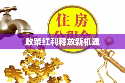 武城政策红利释放新机遇