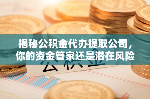 武城揭秘公积金代办提取公司，你的资金管家还是潜在风险？