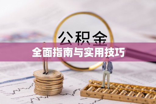 武城全面指南与实用技巧