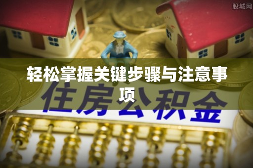 武城轻松掌握关键步骤与注意事项