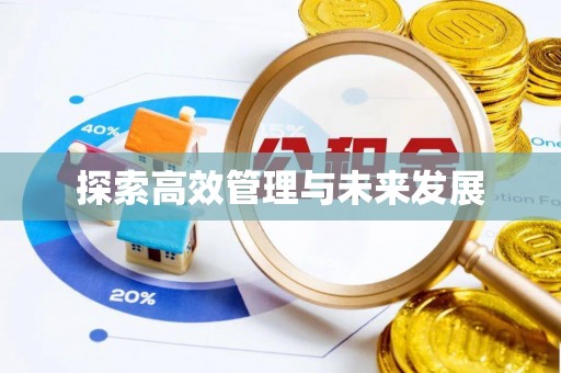 武城探索高效管理与未来发展