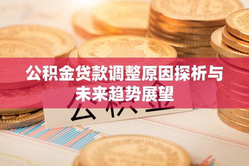 武城公积金贷款调整原因探析与未来趋势展望