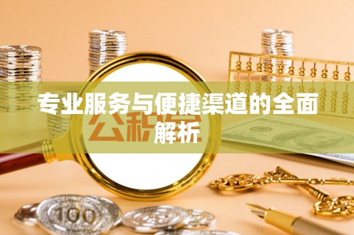 武城专业服务与便捷渠道的全面解析