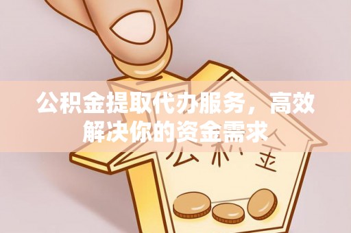 武城公积金提取代办服务，高效解决你的资金需求