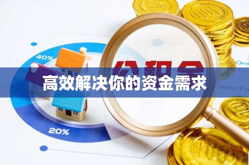 武城高效解决你的资金需求