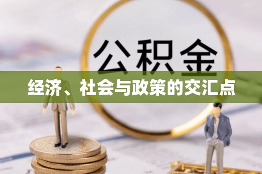 武城经济、社会与政策的交汇点