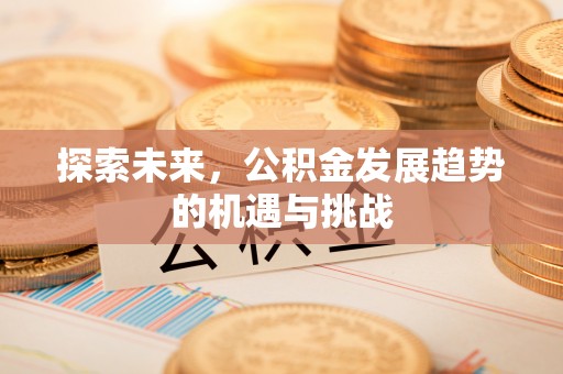 武城探索未来，公积金发展趋势的机遇与挑战
