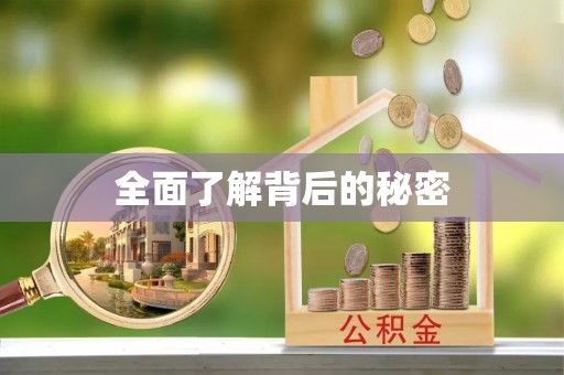 武城全面了解背后的秘密