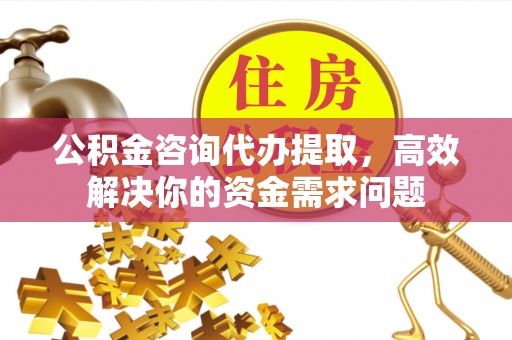 武城公积金咨询代办提取，高效解决你的资金需求问题