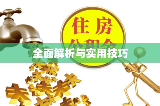 武城全面解析与实用技巧
