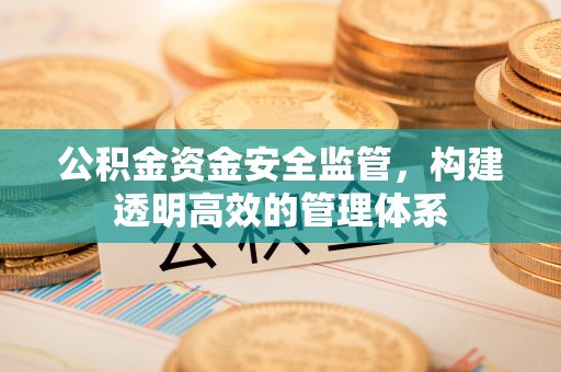 武城公积金资金安全监管，构建透明高效的管理体系