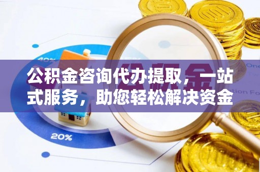 武城公积金咨询代办提取，一站式服务，助您轻松解决资金难题