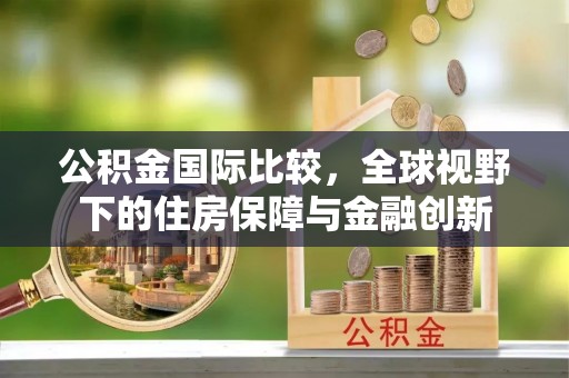 武城公积金国际比较，全球视野下的住房保障与金融创新