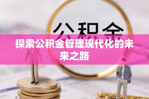 武城探索公积金管理现代化的未来之路