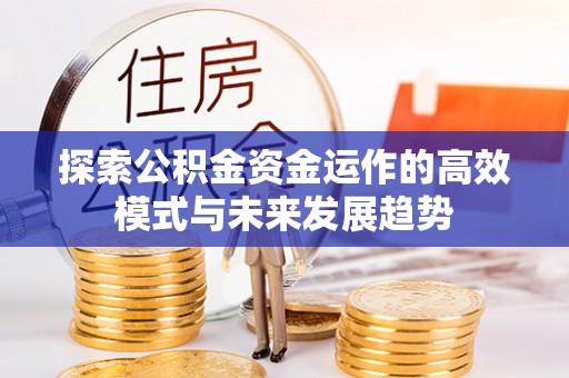 武城探索公积金资金运作的高效模式与未来发展趋势