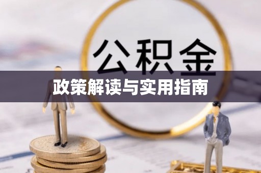 武城政策解读与实用指南