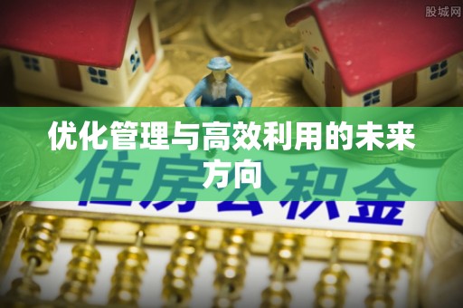 武城优化管理与高效利用的未来方向