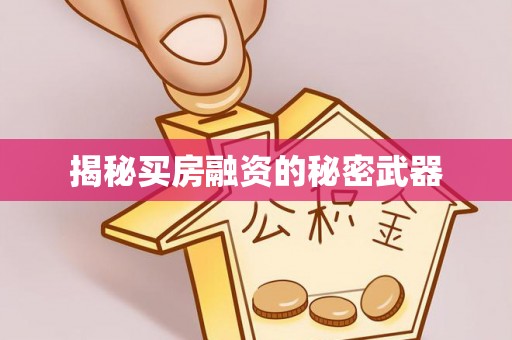 武城揭秘买房融资的秘密武器
