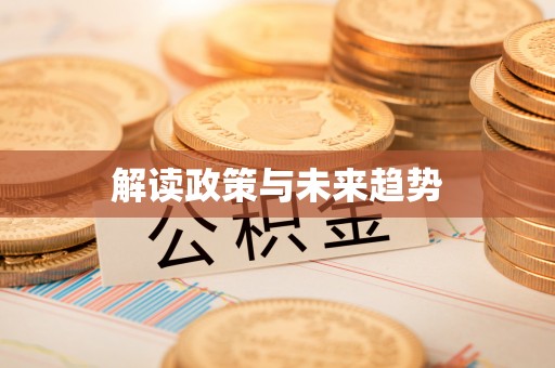 武城解读政策与未来趋势